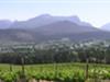 Weinschule: Südafrika, ideales Terroir