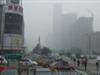H7N9-Virus erreicht Peking